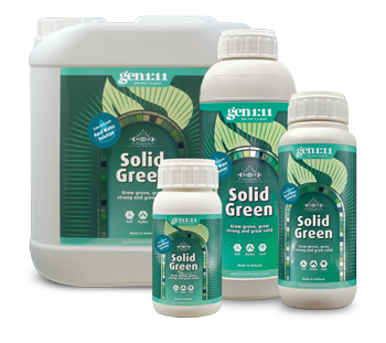 Solid Green Hard Water is a CalMag with iron solution to be used in case of hard water